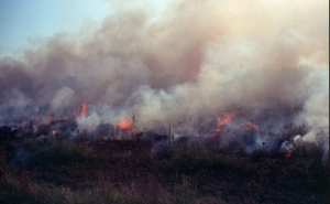 Nagrada za kraj: Pridružite se na zatvaranju 14. Pravo Ljudski Film Festivala